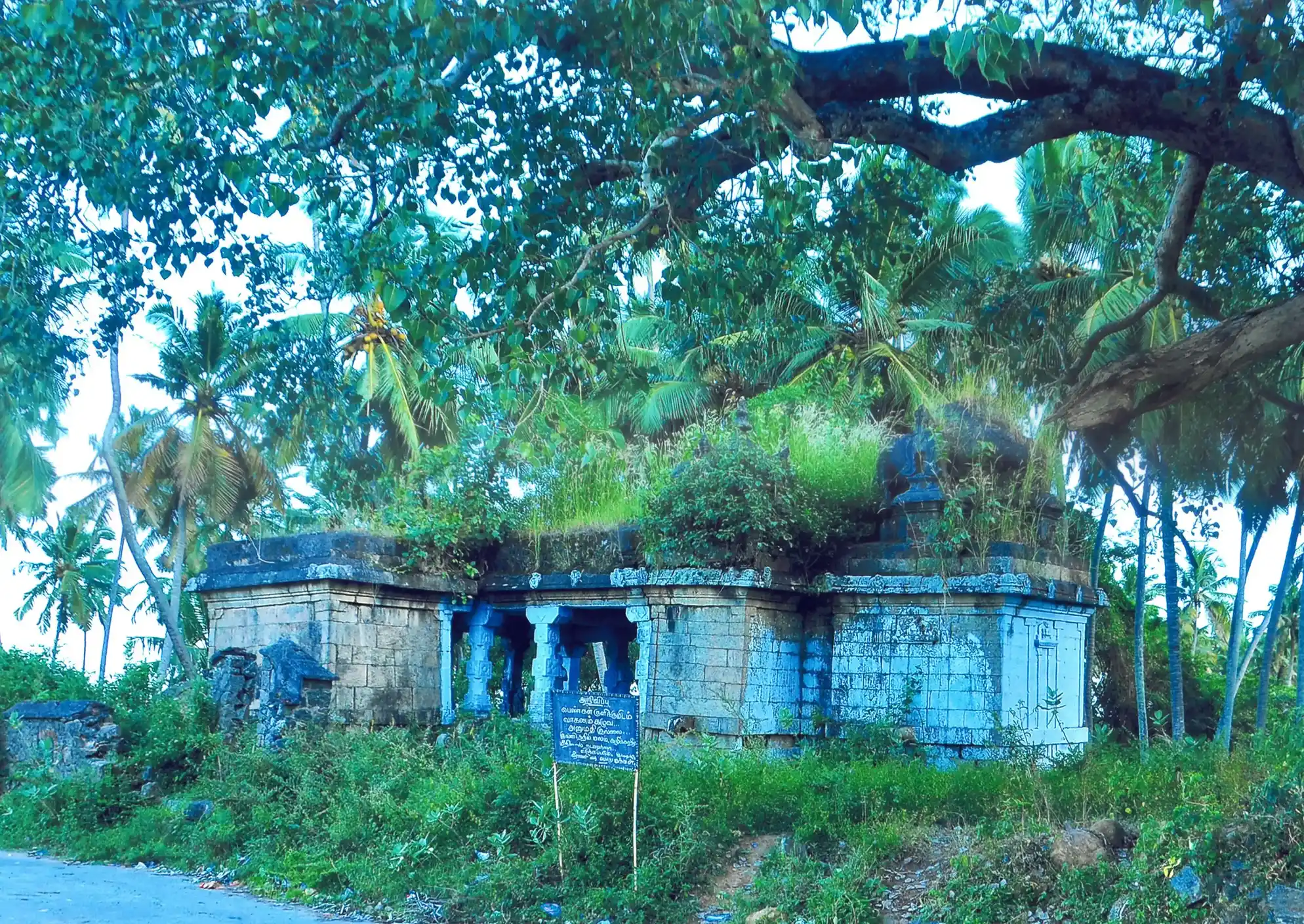Arulmigu Irattaipadi Padhmanabhaswamy Temple, Aloor - 629801 Arulmigu Irattaipadi Padhmanabhaswamy Temple, Aloor - 629801, Kanyakumari - Ancient Temple Architecture and History Image 2