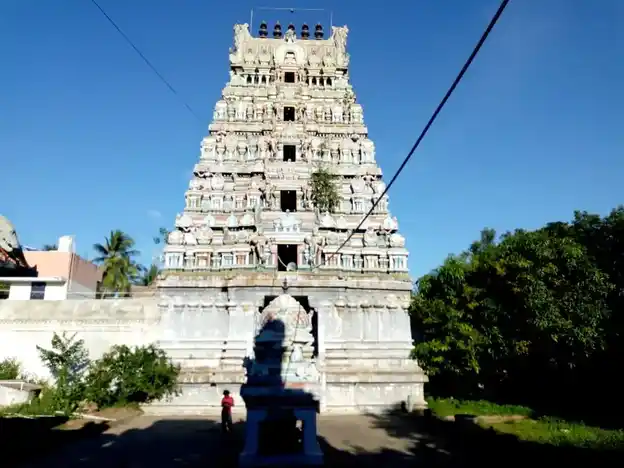 Arulmigu Iravatheeswarar Temple, Maruthuvakudi - 612101 அருள்மிகு ஐராவதீஸ்வரர் திருக்கோயில், Maruthuvakudi - 612101, Thanjavur - Ancient Temple Architecture and History Image 8