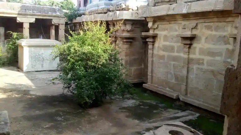 Arulmigu Irawathesvarar Temple, Aanaiyur - 625532 அருள்மிகு ஐராவதீஸ்வரர் திருக்கோயில், Aanaiyur - 625532, Madurai - Ancient Temple Architecture and History Image 4