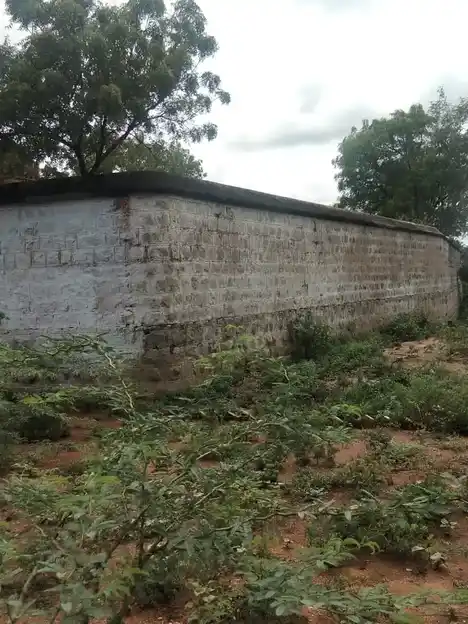 Arulmigu Irudhyaaleeswarar Thirukovil, Veerakeralampudur - 627861 Arulmigu Irudhyaaleeswarar Thirukovil, Veerakeralampudur - 627861, Tenkasi - Ancient Temple Architecture and History Image 4