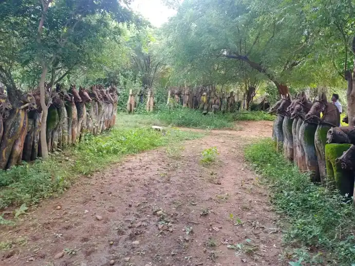 Arulmigu Irulandi Karuppanasamy Temple, Pallapatti - 625103