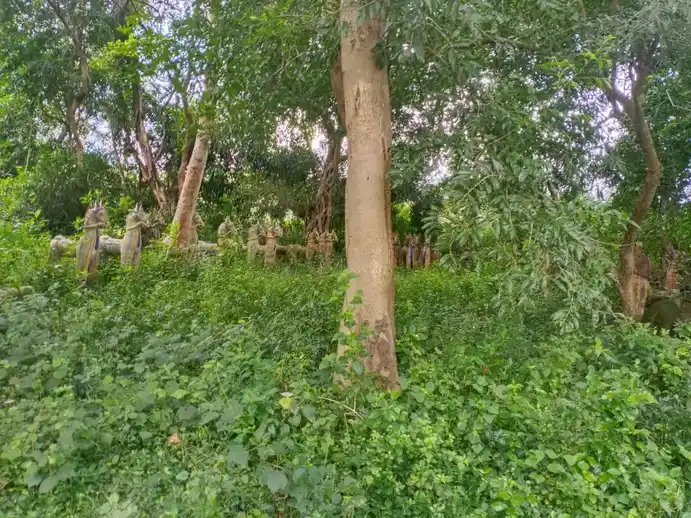 Arulmigu Irulandi Karuppanasamy Temple, Pallapatti - 625103 அருள்மிகு இருளாண்டி கருப்பணசாமி கோயில், Pallapatti - 625103, Madurai - Ancient Temple Architecture and History Image 2