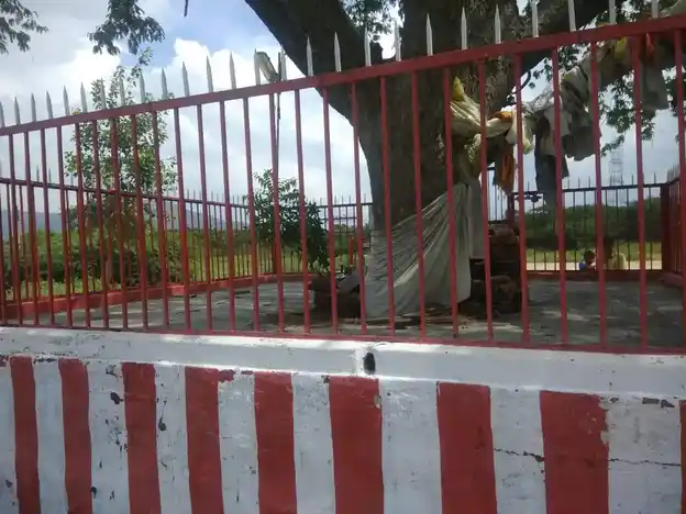 Arulmigu Irulappa Swamy Temple, Sekkapatty - 624220 அருள்மிகு இருளப்பசாமி திருக்கோயில், Sekkapatty - 624220, Dindigul - Ancient Temple Architecture and History Image 3