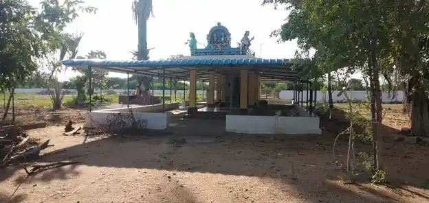 Arulmigu Irulappar Temple, Annavasal - 622101 அருள்மிகு இருளப்பர் திருக்கோயில், Annavasal - 622101, Pudukkottai - Ancient Temple Architecture and History Image 3