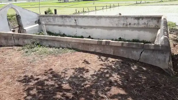 Arulmigu Irulappasamy Temple, Siruvalai - 625402 அருள்மிகு இருளப்பசாமி திருக்கோயில், Siruvalai - 625402, Madurai - Ancient Temple Architecture and History Image 2