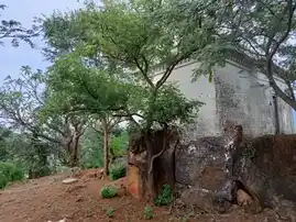 Arulmigu Irumbukundru Varadharajaperumal Temple, Mangampatti - 621307 Arulmigu Irumbukundru Varadharajaperumal Temple, Mangampatti - 621307, Thiruchirappalli - Ancient Temple Architecture and History Image 4