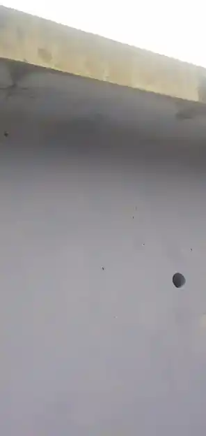 Arulmigu Isakkaiamman Temple, Alachudi - 629180 அருள்மிகு இசக்கியம்மன் திருக்கோயில், Alachudi - 629180, Kanyakumari - Ancient Temple Architecture and History Image 4