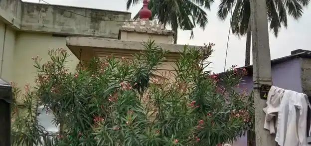 Arulmigu Isakki Arulmiguman Temple, Kumarakoil, Brahmapuram - 629175 Arulmigu Isakki Arulmiguman Temple, Kumarakoil, Brahmapuram - 629175, Kanyakumari - Ancient Temple Architecture and History Image 2