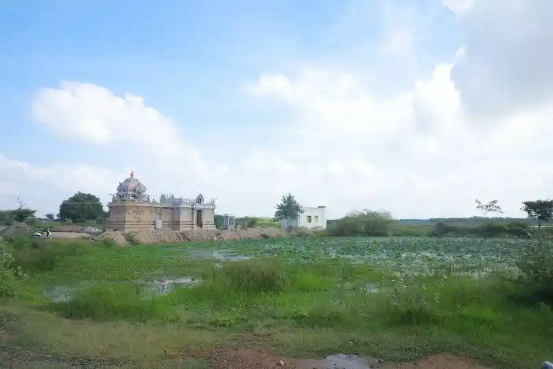 Arulmigu Iyampozhileswarar Temple, Amur, Madurai - 625110 அருள்மிகு ஐயம் பொழிலேஸ்வரர் திருக்கோவில், ஆமூர், மதுரை - 625110, Madurai - Ancient Temple Architecture and History Image 4