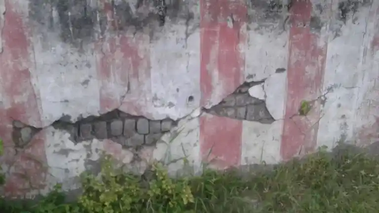 Arulmigu Iyanaar Temple, Rajakkalippur - 610105 அருள்மிகு அய்யனார் திருக்கோயில், Rajakkalippur - 610105, Thiruvarur - Ancient Temple Architecture and History Image 4