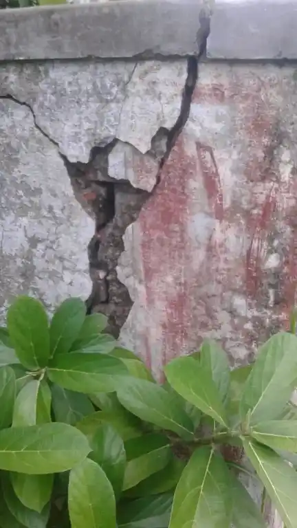 Arulmigu Iyanaar Temple, Rajakkalippur - 610105 அருள்மிகு அய்யனார் திருக்கோயில், Rajakkalippur - 610105, Thiruvarur - Ancient Temple Architecture and History Image 6