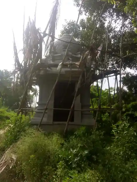 Arulmigu Iyanar Mariyamman Temple, Melpathi - 607105