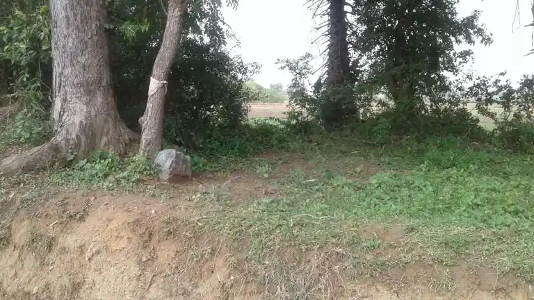 Arulmigu Iyanar Temple, Peykanatham - 607102 அருள்மிகு அய்யனார் திருக்கோயில், Peykanatham - 607102, Cuddalore - Ancient Temple Architecture and History Image 4