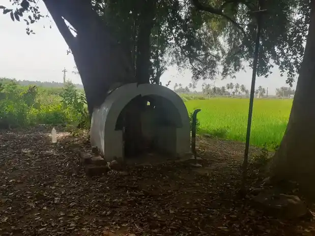 Arulmigu Iyanarappan Temple, Kangayampalayam - 638104 Temple