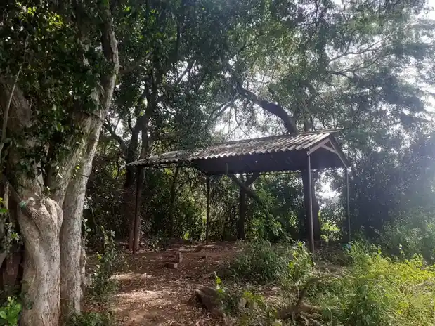 Arulmigu Iyanarappan Temple, Kangayampalayam - 638104 அருள்மிகு அய்யனாரப்பன் திருக்கோயில், Kangayampalayam - 638104, Erode - Ancient Temple Architecture and History Image 2