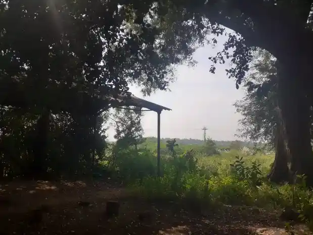 Arulmigu Iyanarappan Temple, Pattathupalayam - 638102 அருள்மிகு அய்யனாரப்பன் திருக்கோயில், Pattathupalayam - 638102, Erode - Ancient Temple Architecture and History Image 3