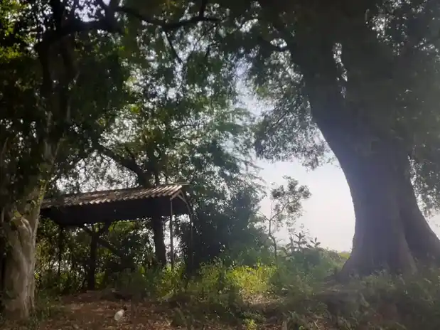 Arulmigu Iyanarappan Temple, Pattathupalayam - 638102 அருள்மிகு அய்யனாரப்பன் திருக்கோயில், Pattathupalayam - 638102, Erode - Ancient Temple Architecture and History Image 4