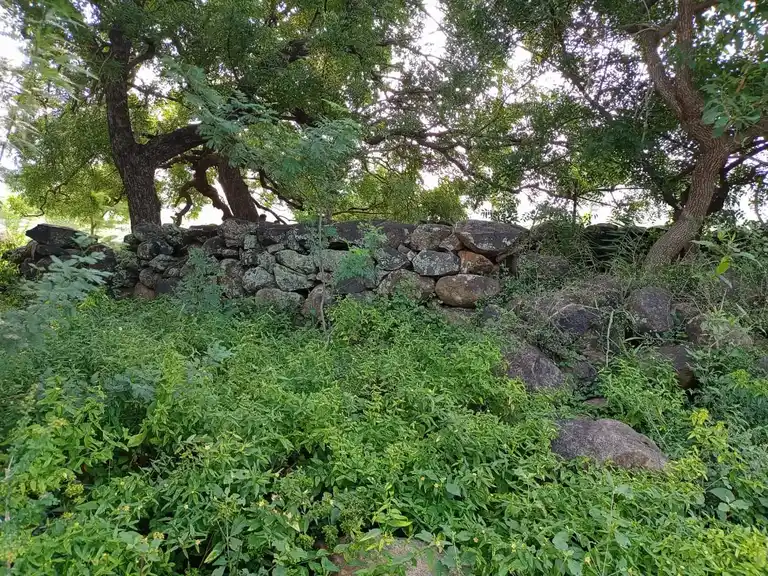 Arulmigu Iyyanaar Temple, Esaandhai - 606201 Arulmigu Iyyanaar Temple, Esaandhai - 606201, Kallakurichi - Ancient Temple Architecture and History Image 3