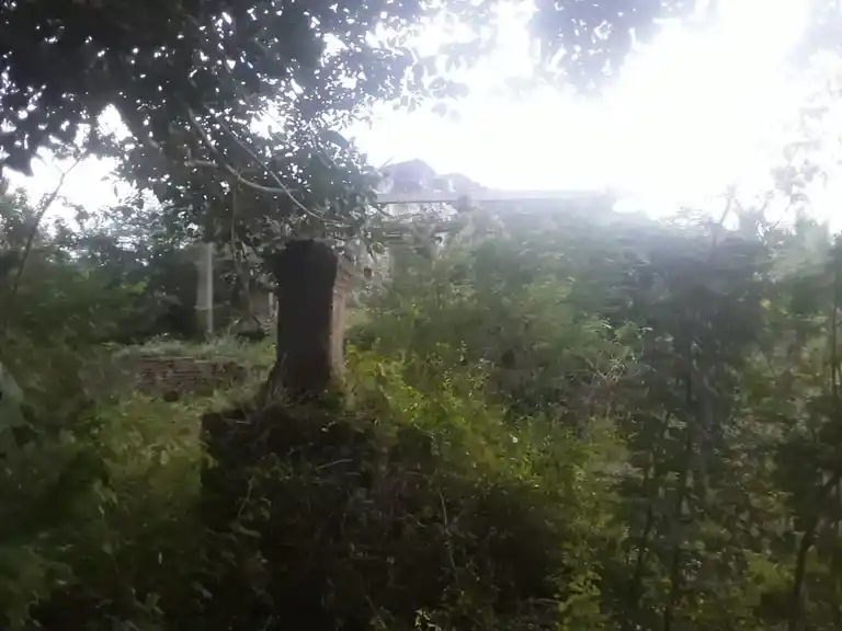 Arulmigu Iyyanar And Pidari Amman Temple, Pamani - 614014