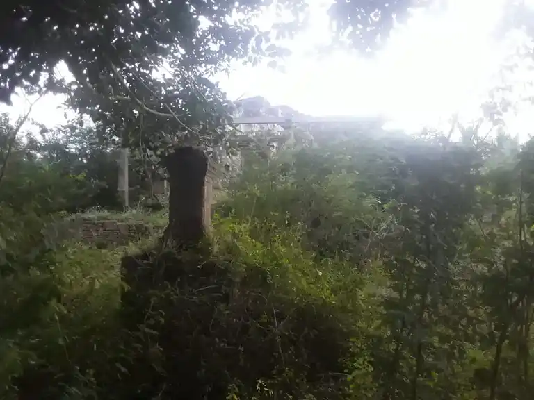 Arulmigu Iyyanar And Pidari Amman Temple, Pamani - 614014 அருள்மிகு அய்யனார் திருக்கோயில், Pamani - 614014, Thiruvarur - Ancient Temple Architecture and History Image 2