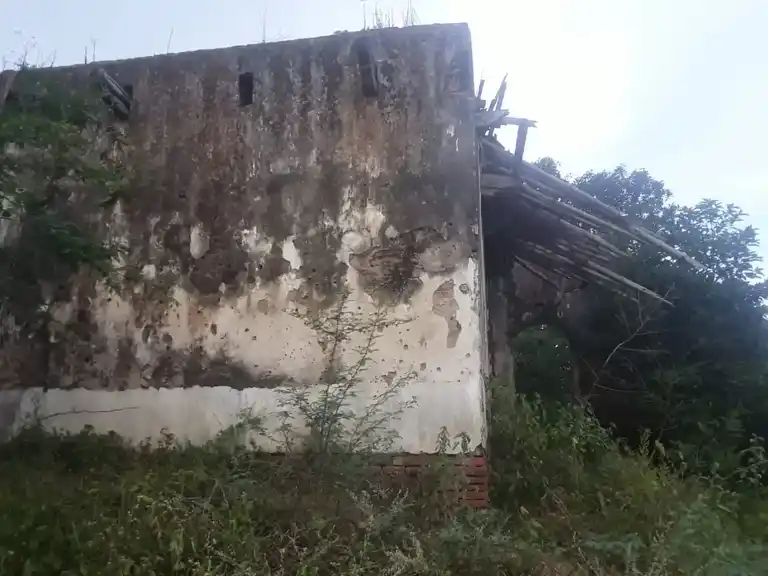 Arulmigu Iyyanar And Pidari Amman Temple, Pamani - 614014 அருள்மிகு அய்யனார் திருக்கோயில், Pamani - 614014, Thiruvarur - Ancient Temple Architecture and History Image 3