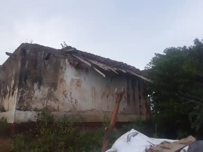 Arulmigu Iyyanar And Pidari Amman Temple, Pamani - 614014 அருள்மிகு அய்யனார் திருக்கோயில், Pamani - 614014, Thiruvarur - Ancient Temple Architecture and History Image 4