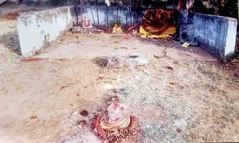 Arulmigu Iyyanar Temple, Aavikolapakkam - 605757 அருள்மிகு அய்யனார் திருக்கோயில்,  - 605757, Kallakurichi - Ancient Temple Architecture and History Image 4