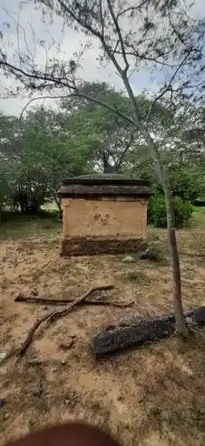 Arulmigu Iyyanar Temple, Anganoor - 606107 Arulmigu Iyyanar Temple, Anganoor - 606107, Kallakurichi - Ancient Temple Architecture and History Image 2