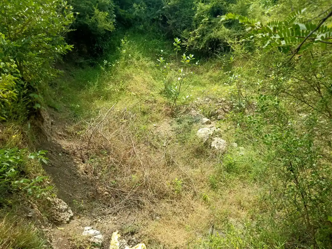 Arulmigu Iyyanar Temple, Ariyaperumaanur - 606401 அருள்மிகு அய்யனார் பிடாரி திருக்கோயில், Ariyaperumaanur - 606401, Kallakurichi - Ancient Temple Architecture and History Image 6