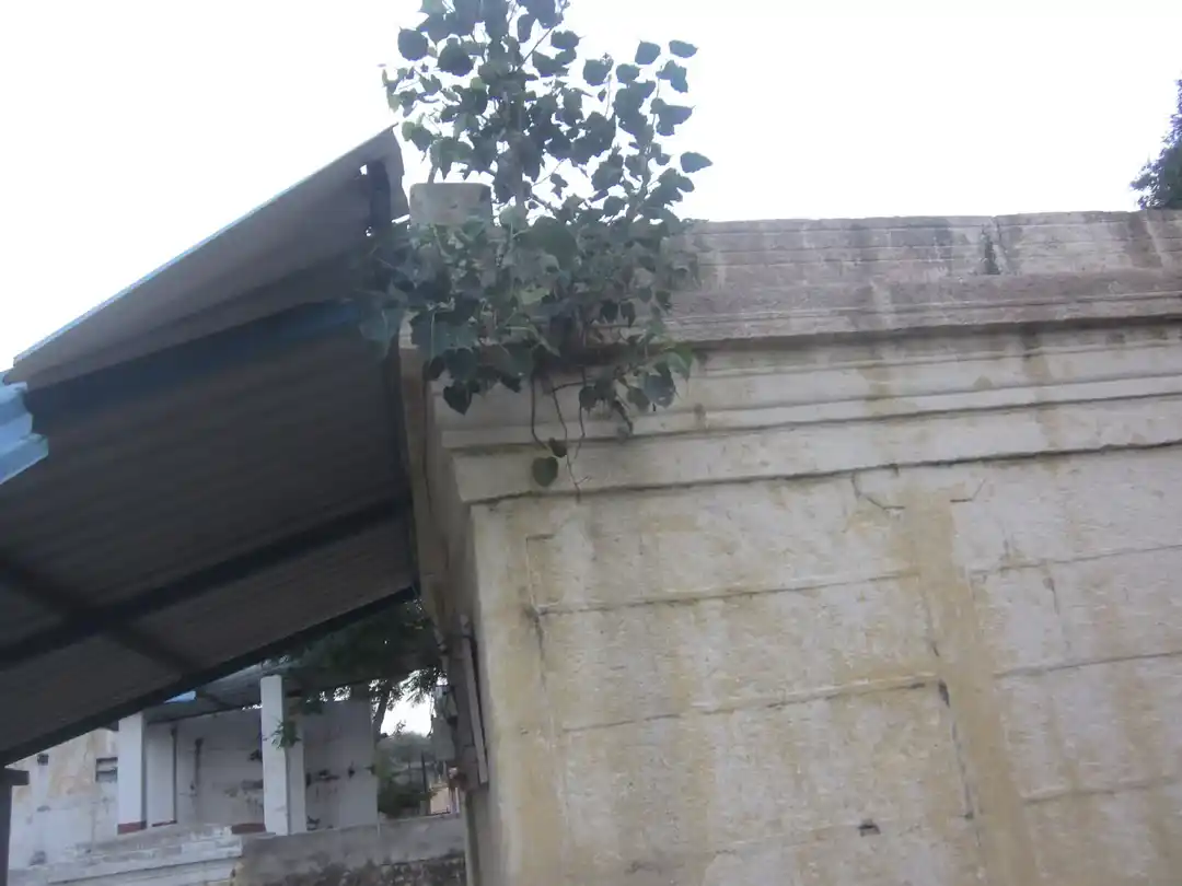 Arulmigu Iyyanar Temple, Asakalathur - 606204 அருள்மிகு அய்யனார் திருக்கோயில், Asakalathur - 606204, Kallakurichi - Ancient Temple Architecture and History Image 6