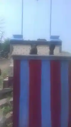 Arulmigu Iyyanar Temple, Chathrapatti - 627719 Arulmigu Iyyanar Temple, Chathrapatti - 627719, Tenkasi - Ancient Temple Architecture and History Image 3