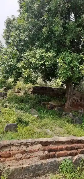 Arulmigu Iyyanar Temple, Chinnakolapadi - 606701 Arulmigu Iyyanar Temple, Chinnakolapadi - 606701, Tiruvannamalai - Ancient Temple Architecture and History Image 2