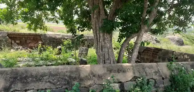 Arulmigu Iyyanar Temple, Chinnakolapadi - 606701 Arulmigu Iyyanar Temple, Chinnakolapadi - 606701, Tiruvannamalai - Ancient Temple Architecture and History Image 7