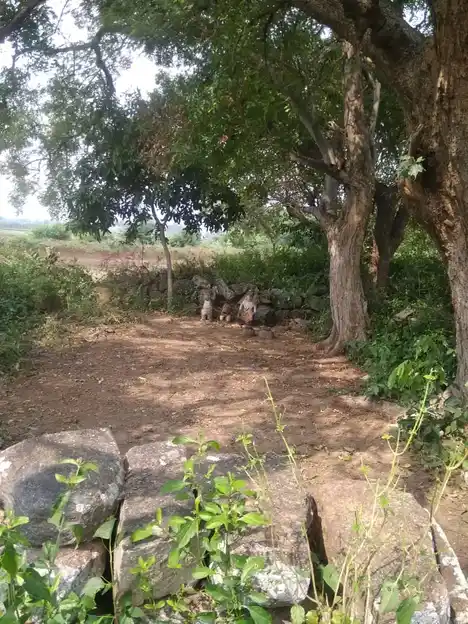 Arulmigu Iyyanar Temple, Kadathur - 606201 அருள்மிகு பிடாரி விளக்கியம்மன் திருக்கோயில், Kadathur - 606201, Kallakurichi - Ancient Temple Architecture and History Image 3