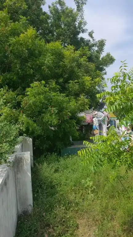 Arulmigu Iyyanar Temple, Kanaiyaar - 606107