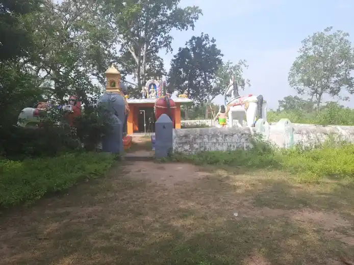 Arulmigu Iyyanar Temple, Karungkuzhi - 606204