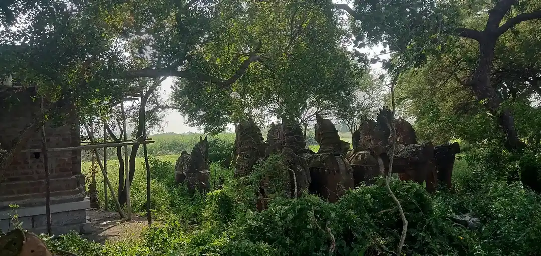 Arulmigu Iyyanar Temple, Kottaiyur - 606204