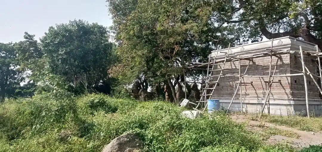 Arulmigu Iyyanar Temple, Kottaiyur - 606204 அருள்மிகு அய்யனார் திருக்கோயில், Kottaiyur - 606204, Kallakurichi - Ancient Temple Architecture and History Image 3