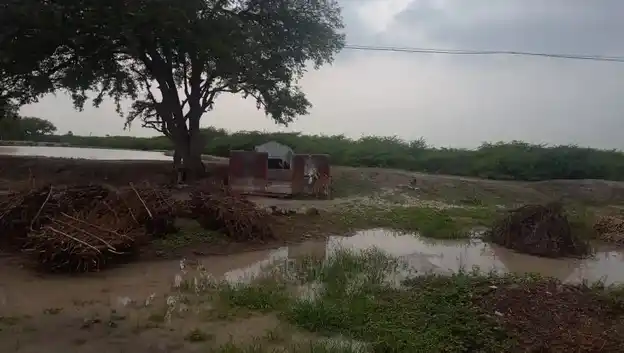 Arulmigu Iyyanar Temple, Kuralayampatti - 628907 அருள்மிகு ஐயனார் திருக்கோயில், Kuralayampatti - 628907, Thoothukudi - Ancient Temple Architecture and History Image 2