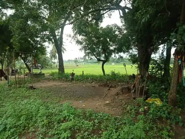 Arulmigu Iyyanar Temple, Maamanandhal - 606202