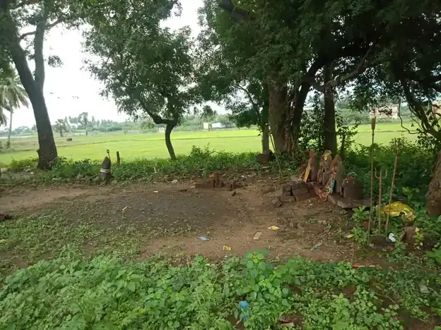 Arulmigu Iyyanar Temple, Maamanandhal - 606202 அருள்மிகு அய்யனார் திருக்கோயில், Maamanandhal - 606202, Kallakurichi - Ancient Temple Architecture and History Image 2