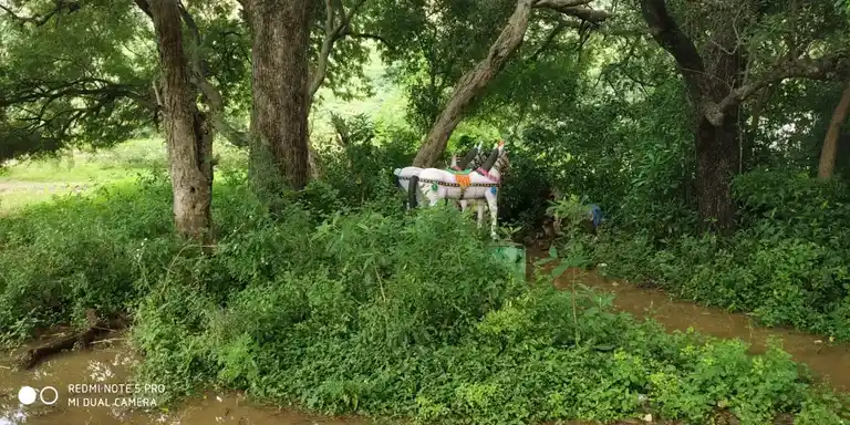 Arulmigu Iyyanar Temple, Mallaapuram - 606207 அருள்மிகு அய்யனார் திருக்கோயில், Mallaapuram - 606207, Kallakurichi - Ancient Temple Architecture and History Image 3