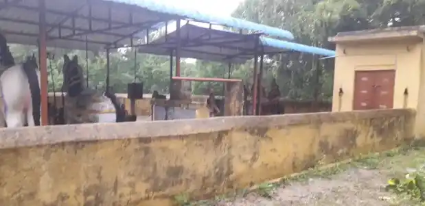 Arulmigu Iyyanar Temple, Me.Maaloor - 605751 அருள்மிகு அய்யனார் திருக்கோயில், Me.Maaloor - 605751, Kallakurichi - Ancient Temple Architecture and History Image 3