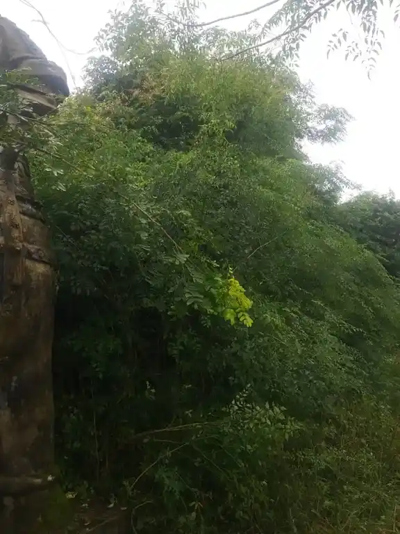 Arulmigu Iyyanar Temple, Melapalaiyur - 606110 அருள்மிகு அய்யனார் திருக்கோயில், மேலப்பாளையூர் - 606110, Cuddalore - Ancient Temple Architecture and History Image 5