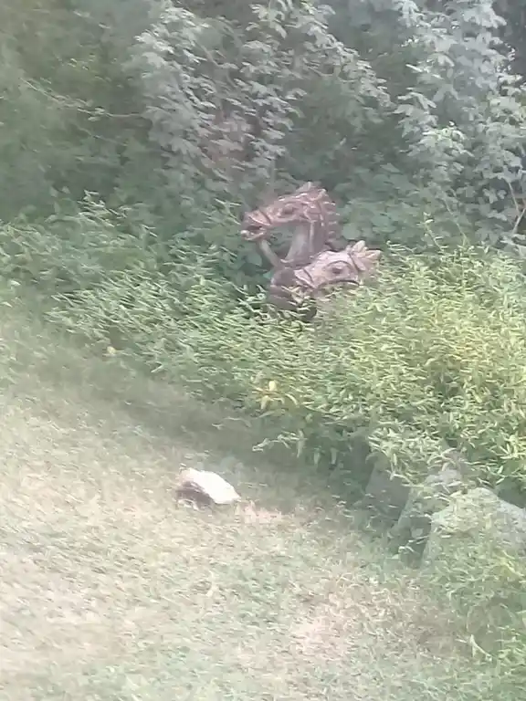 Arulmigu Iyyanar Temple, Melathaazhanoor - 605757 அருள்மிகு அய்யனார் திருக்கோயில், Melathaazhanoor - 605757, Kallakurichi - Ancient Temple Architecture and History Image 2