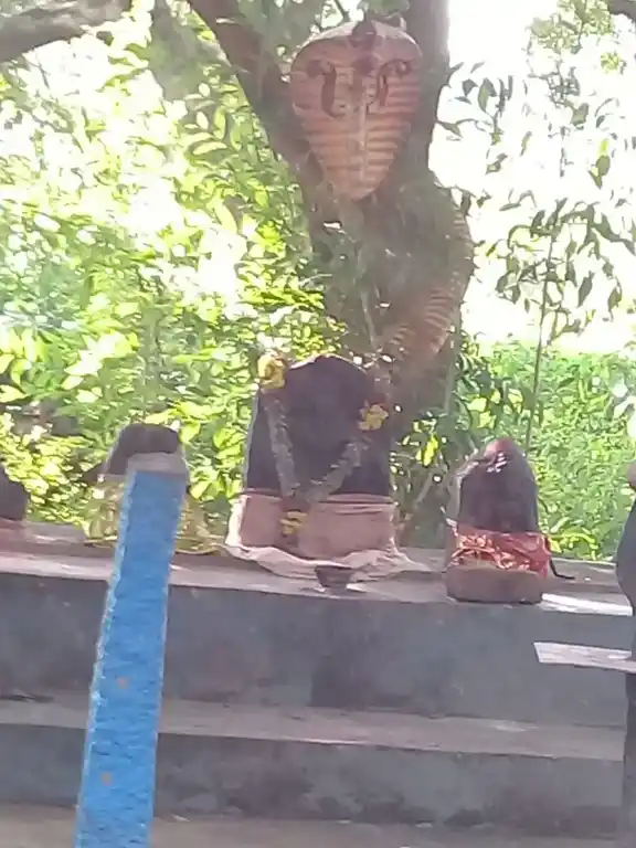 Arulmigu Iyyanar Temple, Mogalaar - 605757