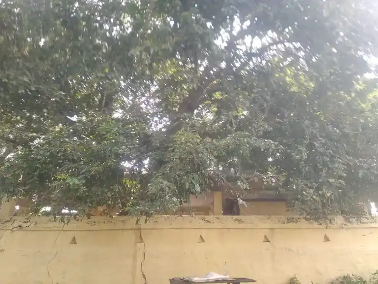 Arulmigu Iyyanar Temple, Mugaiyur - 605755 அருள்மிகு அய்யனார் திருக்கோயில், Mugaiyur - 605755, Viluppuram - Ancient Temple Architecture and History Image 6