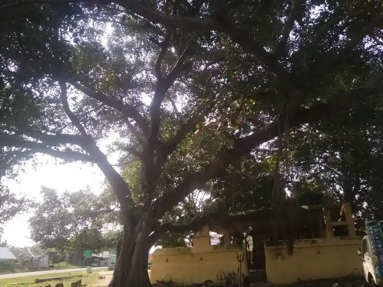 Arulmigu Iyyanar Temple, Mugaiyur - 605755 அருள்மிகு அய்யனார் திருக்கோயில், Mugaiyur - 605755, Viluppuram - Ancient Temple Architecture and History Image 7