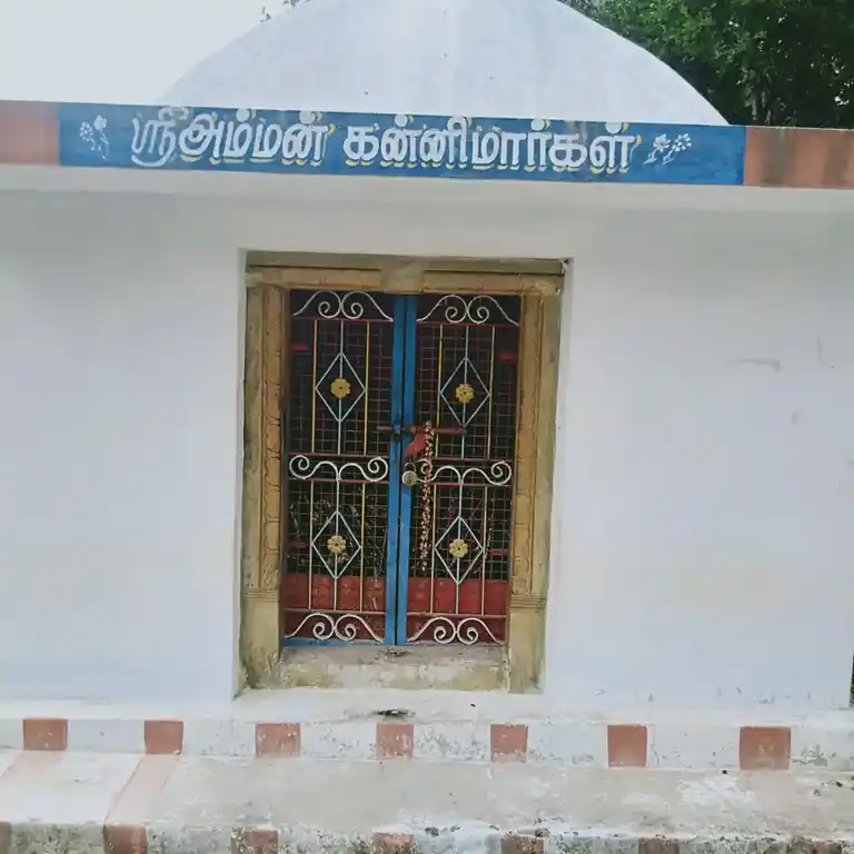 Arulmigu Iyyanar Temple, Nallammalchathiram, Iluppur Taluk - 622101