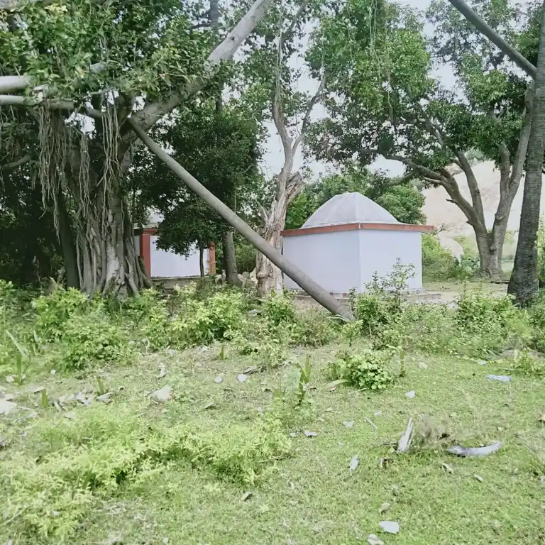 Arulmigu Iyyanar Temple, Nallammalchathiram, Iluppur Taluk - 622101 அருள்மிகு அய்யனார் திருக்கோயில், நல்லம்மான்சத்திரம், இலுப்பூர் வட்டம் - 622101, Pudukkottai - Ancient Temple Architecture and History Image 3